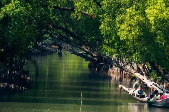 CULTURE WITH WILD SAFARI (Kolkata – Sundarban)