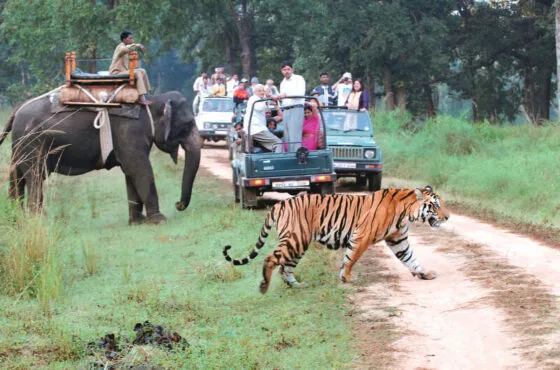 Corbett National Park