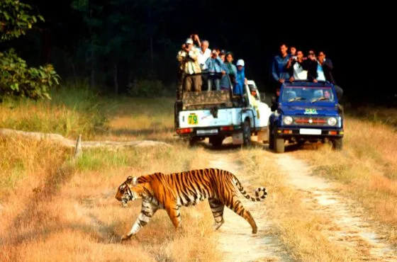 Delhi – Corbett National Park