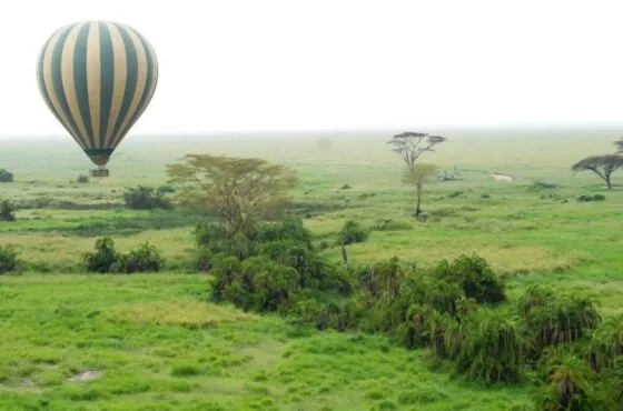 Tanzania